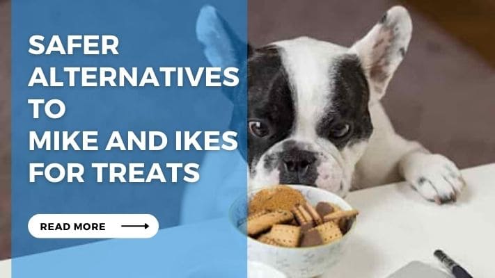 Safer Alternatives to Mike and Ikes for Treats