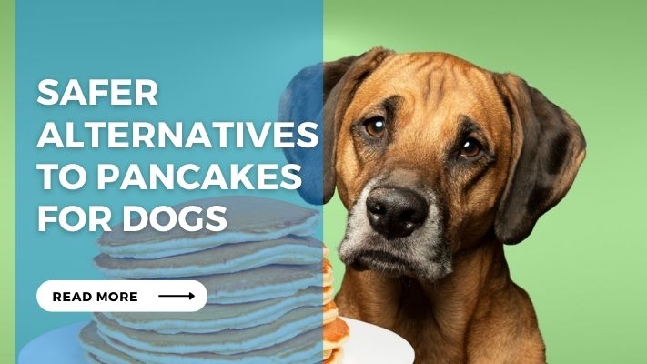 Safer Alternatives  to Pancakes  for Dogs