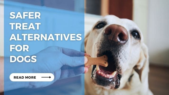 Safer Treat Alternatives for Dogs