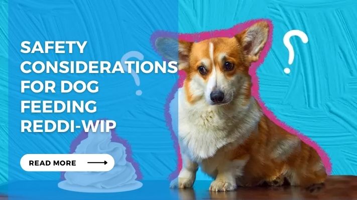 Safety Considerations for Dog Feeding  Reddi-Wip