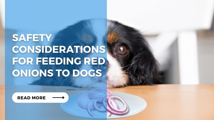 Safety Considerations for Feeding Red Onions to Dogs