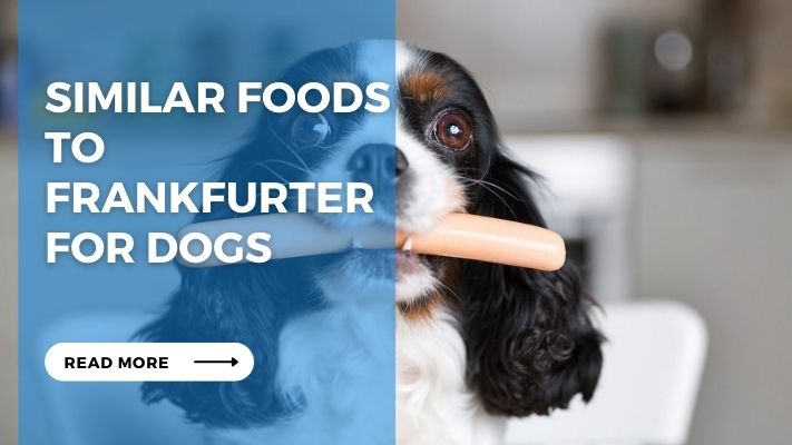 Similar Foods  to  Frankfurter  for Dogs