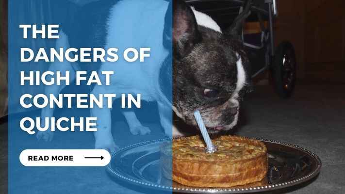 The Dangers of High Fat Content in Quiche