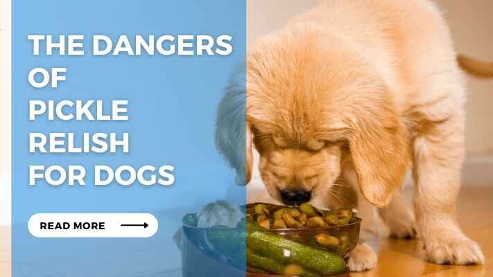 The Dangers of Pickle Relish for Dogs