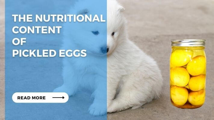 The Nutritional Content of Pickled Eggs