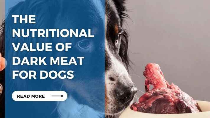 The Nutritional Value of Dark Meat for Dogs