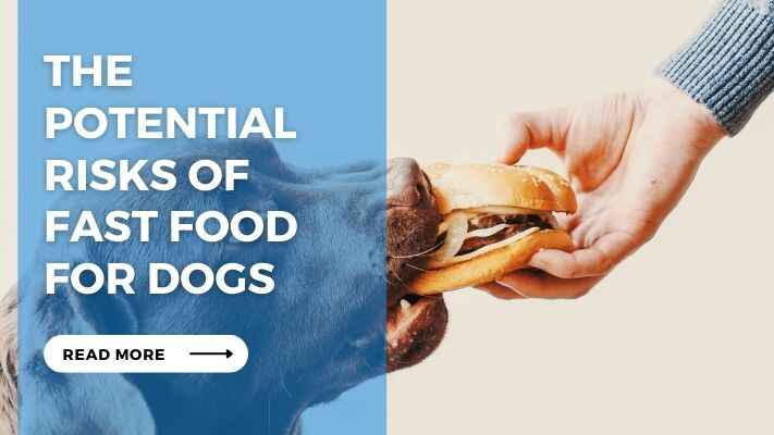 The Potential Risks of Fast Food for Dogs