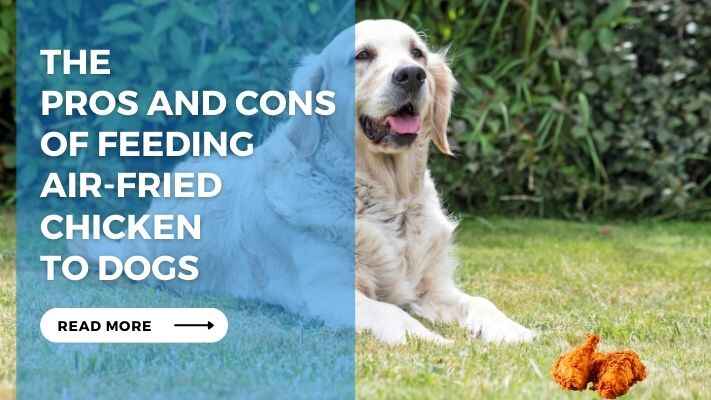 The Pros and Cons of Feeding Air-Fried Chicken to Dogs