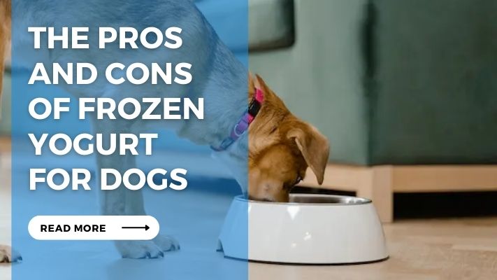 The Pros and Cons of Frozen Yogurt for Dogs