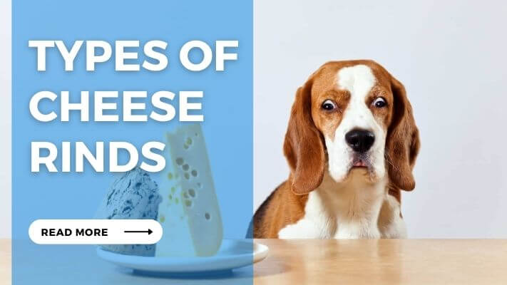 Types of Cheese Rinds