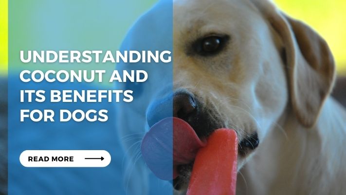 Understanding Coconut and its Benefits  for Dogs