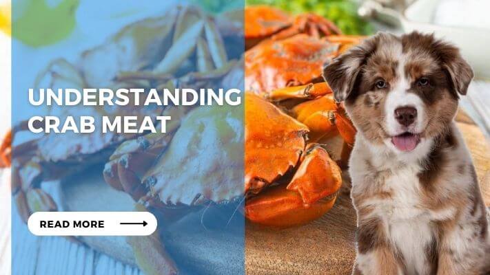 Understanding Crab Meat