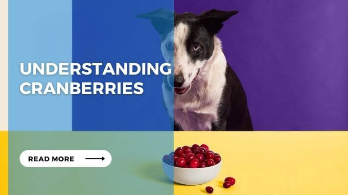 Understanding Cranberries