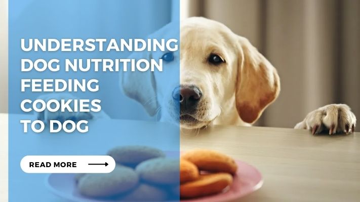 Understanding Dog Nutrition feeding  Cookies  to dog