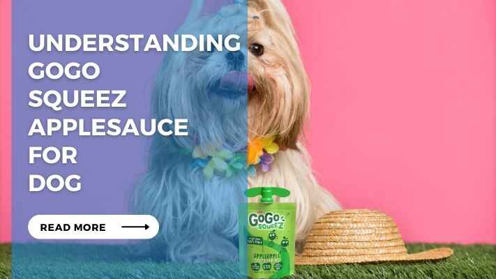 Understanding GoGo Squeez Applesauce for Dog