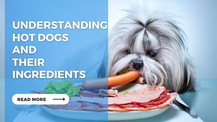 Understanding Hot Dogs and Their Ingredients