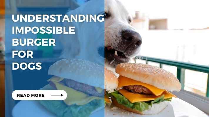 Understanding Impossible Burger for Dogs