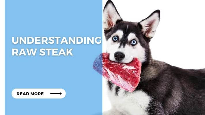 Understanding Raw Steak