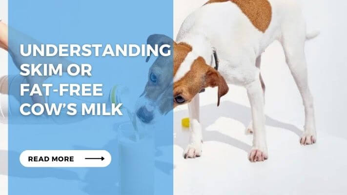 Understanding Skim or Fat-Free Cow’s Milk