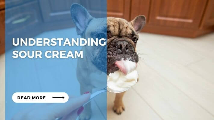 Understanding Sour Cream