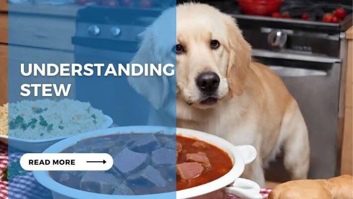 Understanding Stew