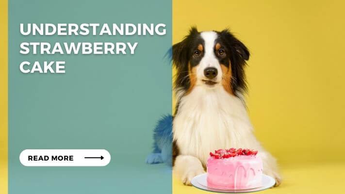 Understanding Strawberry Cake