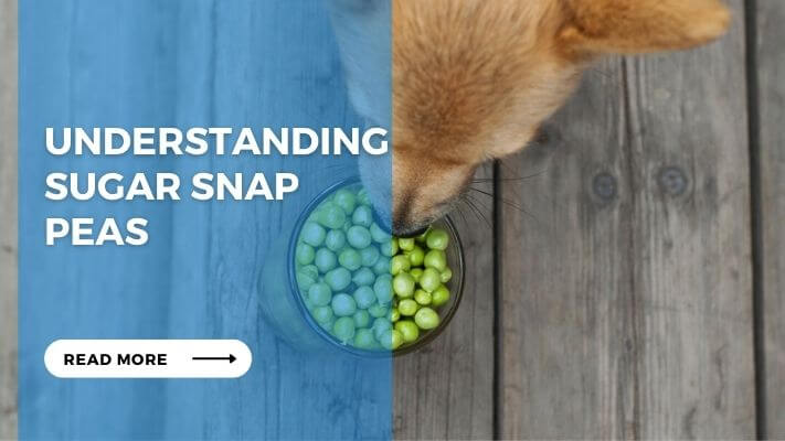 Understanding Sugar Snap Peas