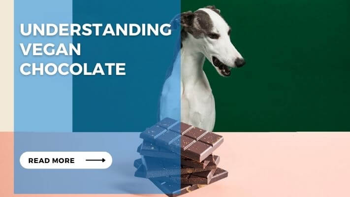 Understanding Vegan Chocolate