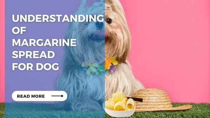 Understanding of Margarine Spread for Dog