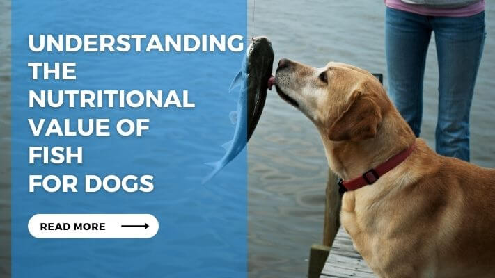 Understanding the Nutritional Value of Fish for Dogs