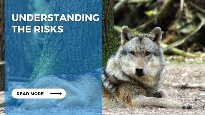 Understanding the Risks