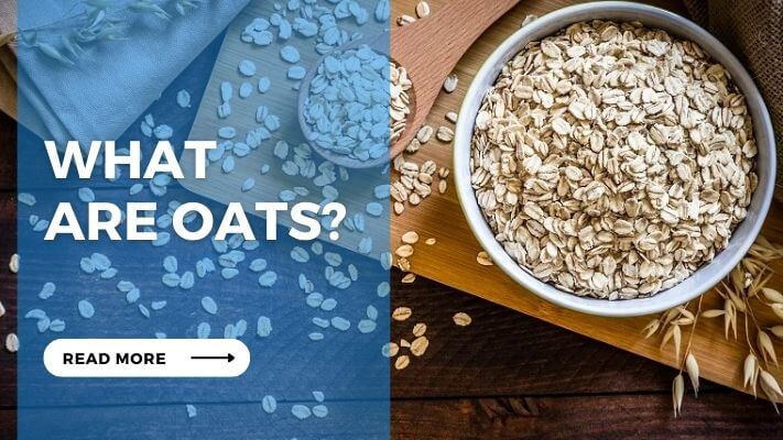 What Are Oats