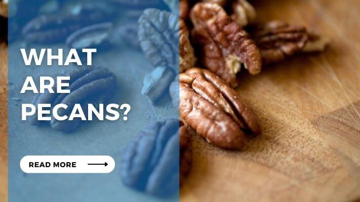 What Are Pecans