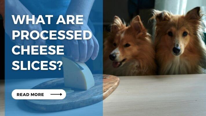 What Are Processed Cheese Slices