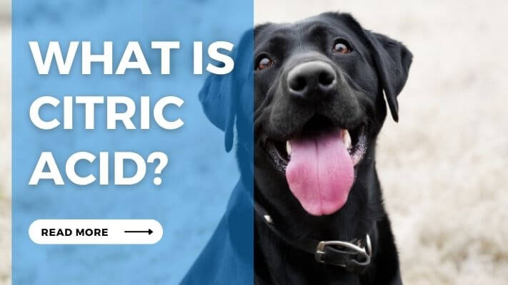 What is Citric Acid