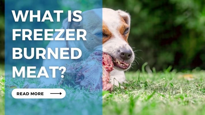 What is Freezer Burned  Meat