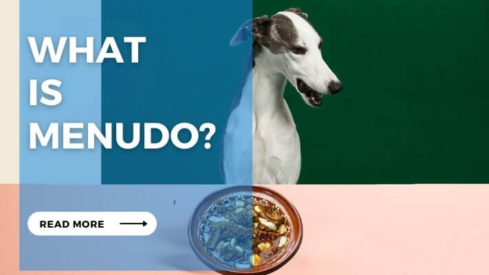 What is Menudo