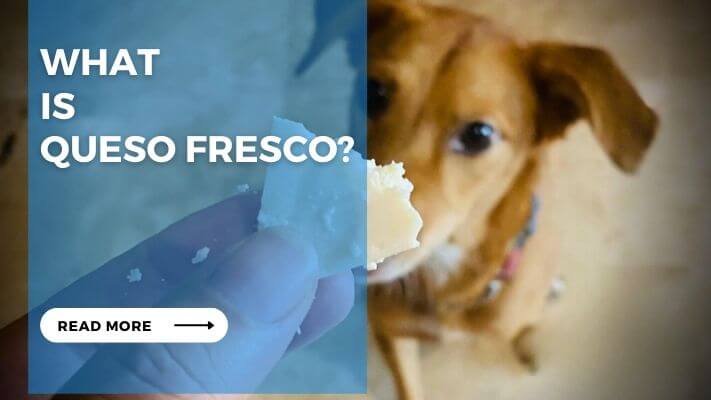 What is Queso Fresco