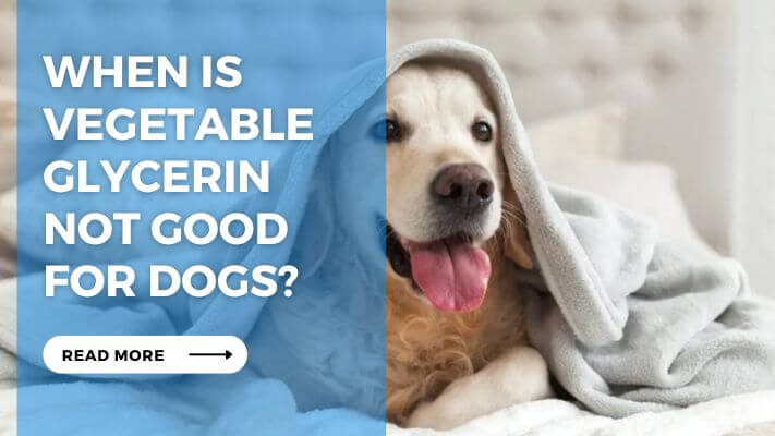 When Is Vegetable Glycerin Not Good for Dogs