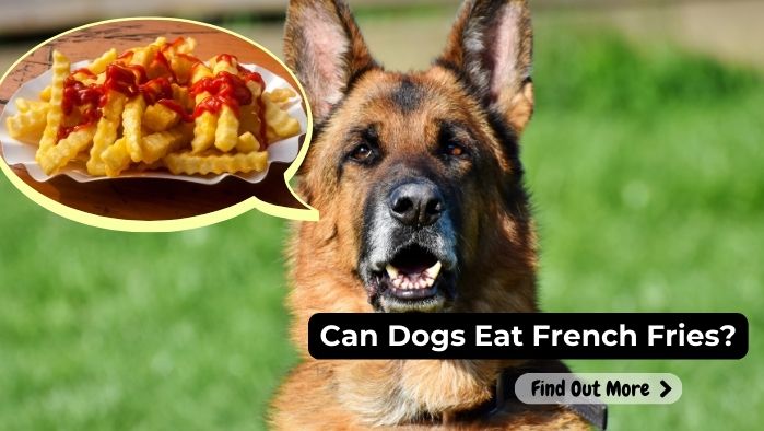 can dogs eat French-Fries