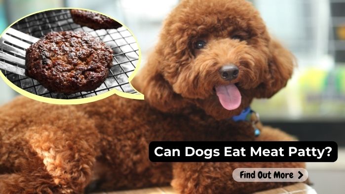 can dogs eat Meat-Patty