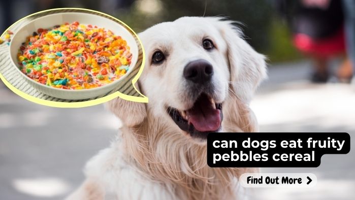 can dogs eat fruity pebbles cereal