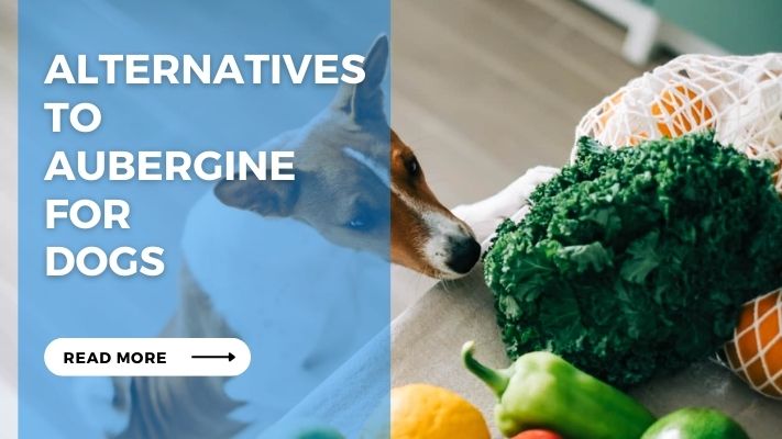 Alternatives to Aubergine For Dogs