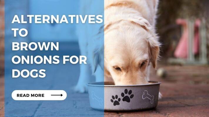 Alternatives to Brown Onions for Dogs