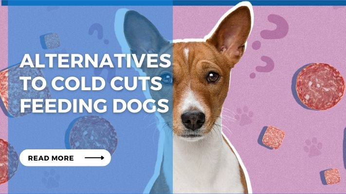 Alternatives to Cold Cuts Feeding Dogs