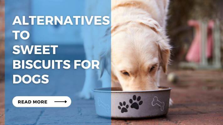 Alternatives to Sweet Biscuits for Dogs