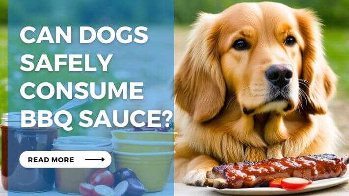 Can Dogs Safely Consume BBQ Sauce