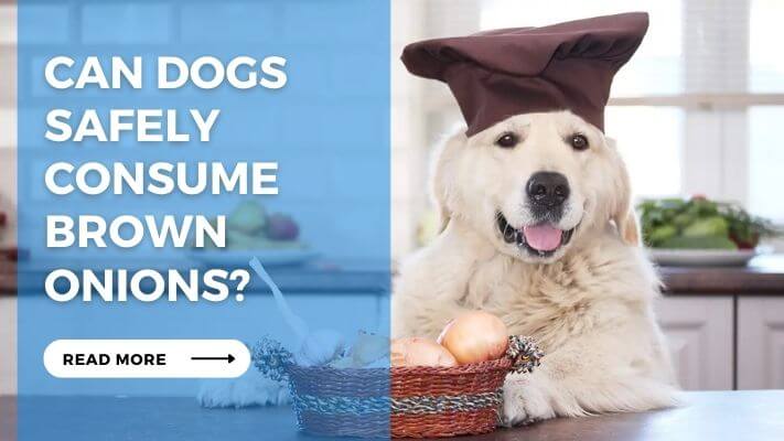 Can Dogs Safely Consume Brown Onions