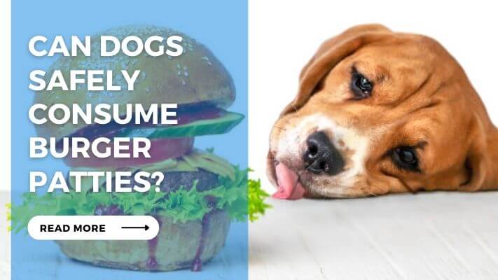 Can Dogs Safely Consume Burger Patties