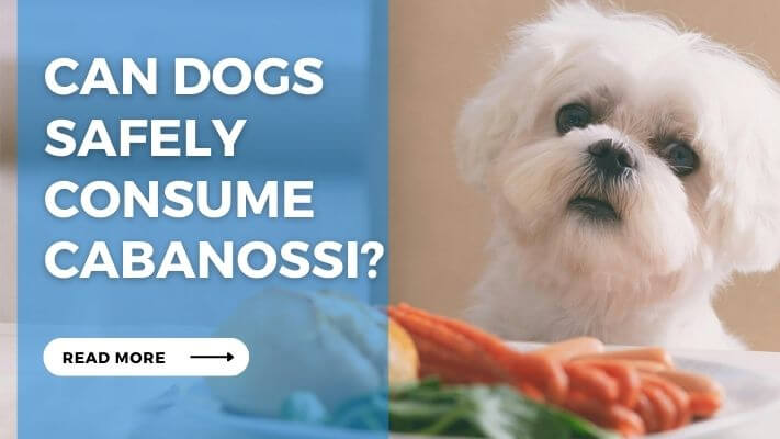 Can Dogs Safely Consume Cabanossi
